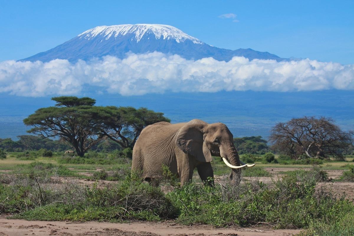 Kilimanjaro Juin